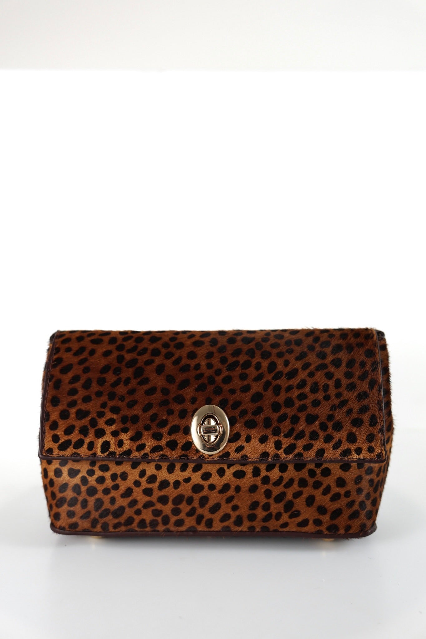 CHEETAH
 ADRIANE